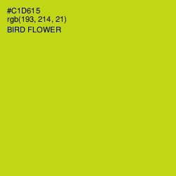 #C1D615 - Bird Flower Color Image